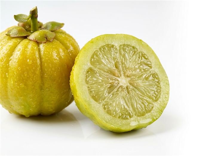 פרי Garcinia cambogia המשמש במקלוני הג'לי של Hinuki